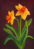 Daffodil Yellow
