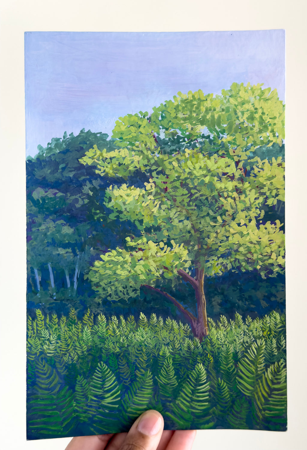 Fields of Ferns Print