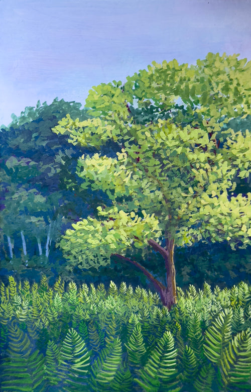 Fields of Ferns Print