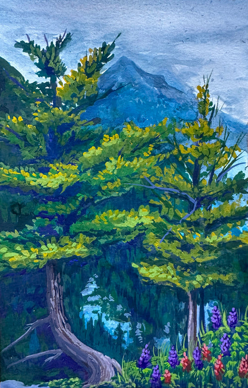 Glacier Park Trees Print