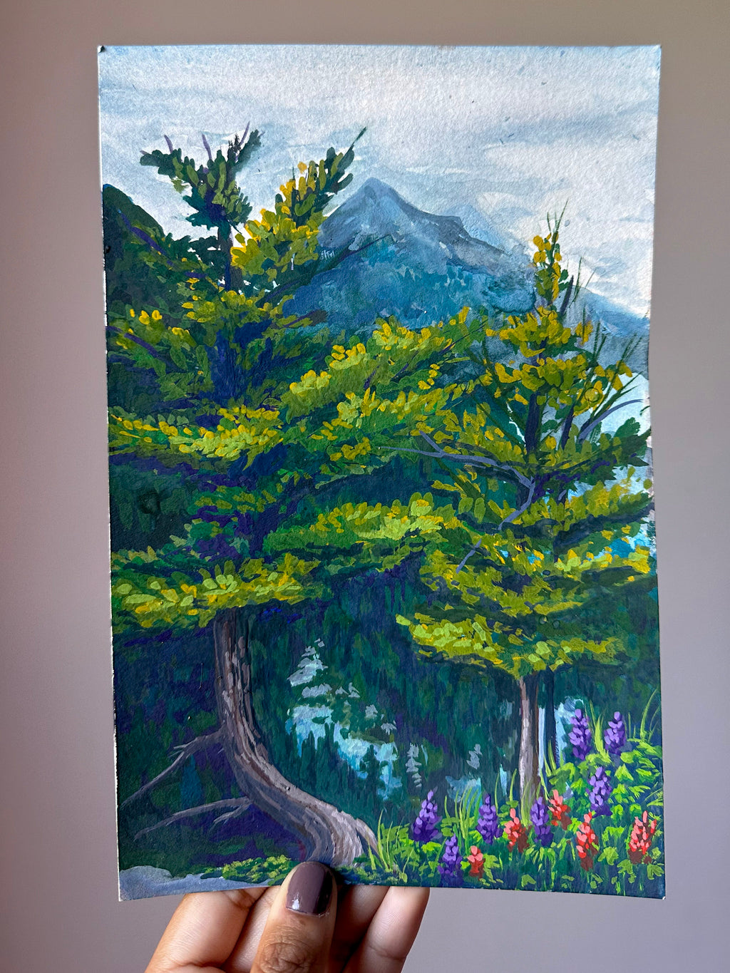 Glacier Park Trees Print