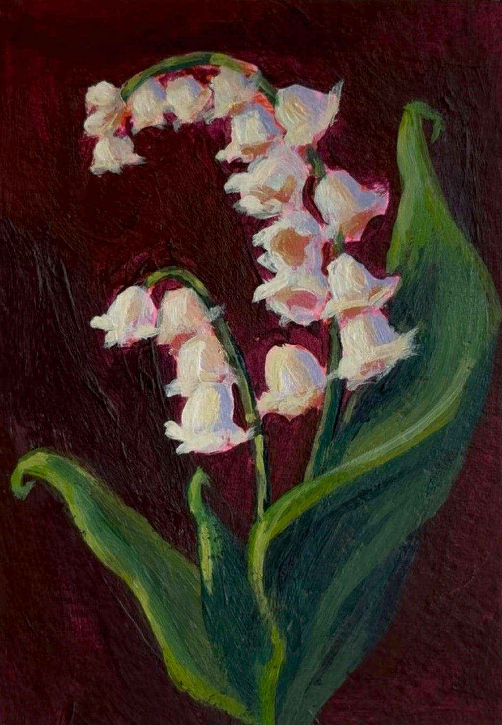 Lily of the Valley Red