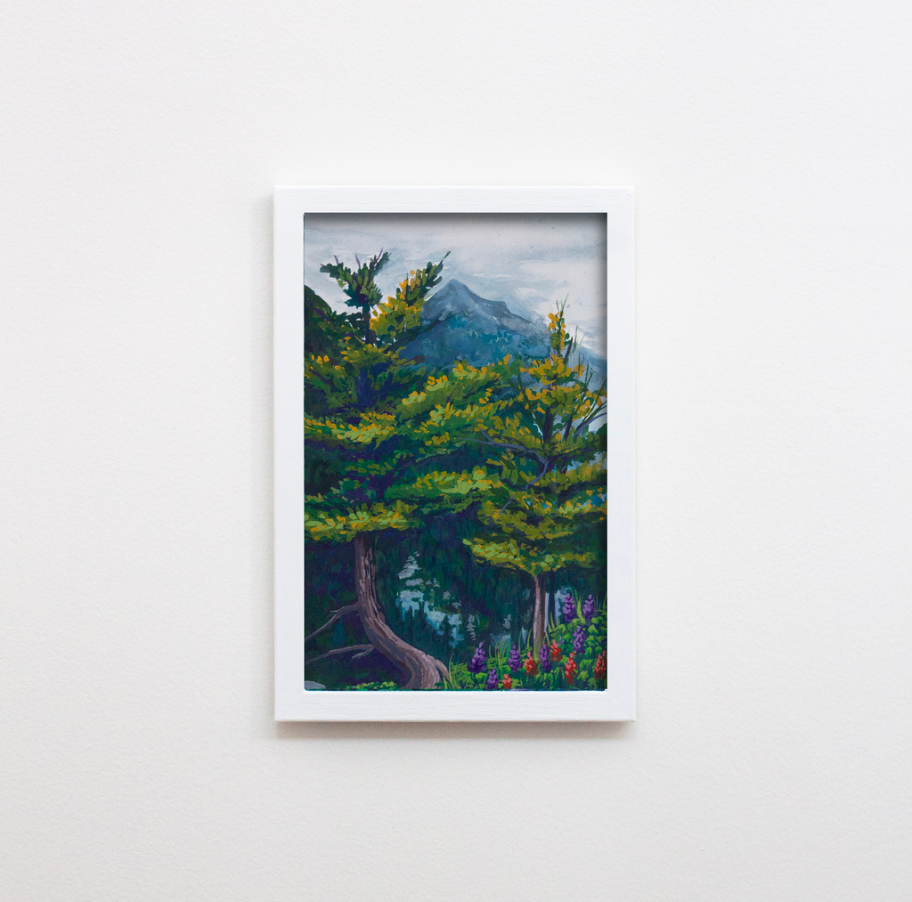 Glacier National Park Trees Print